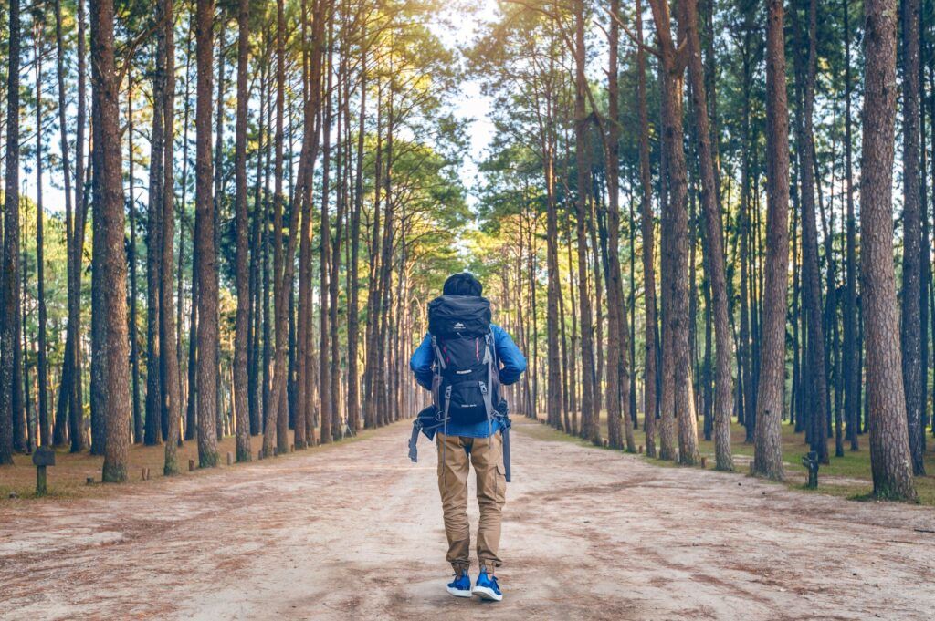 homme randonnee sac dos marchant dans foret